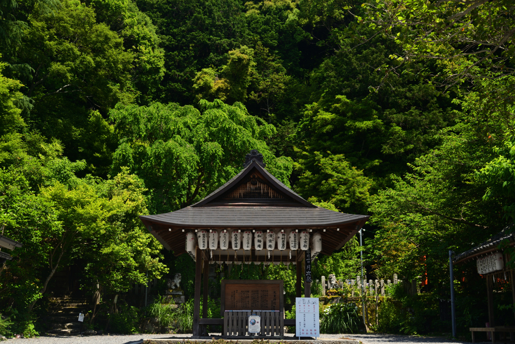 220529b大豊神社21