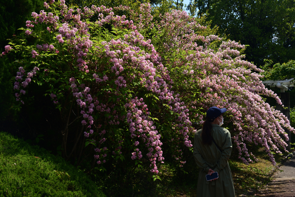 220503d京都植物園35