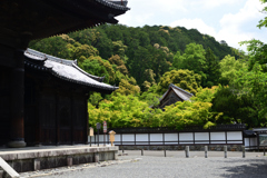 210514南禅寺10