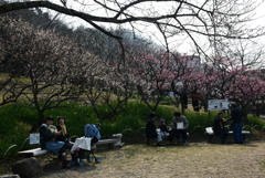 160227枚岡神社37