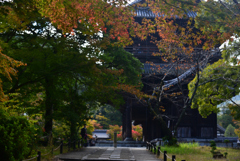 241112b南禅寺13