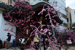 190302b大阪天満宮23