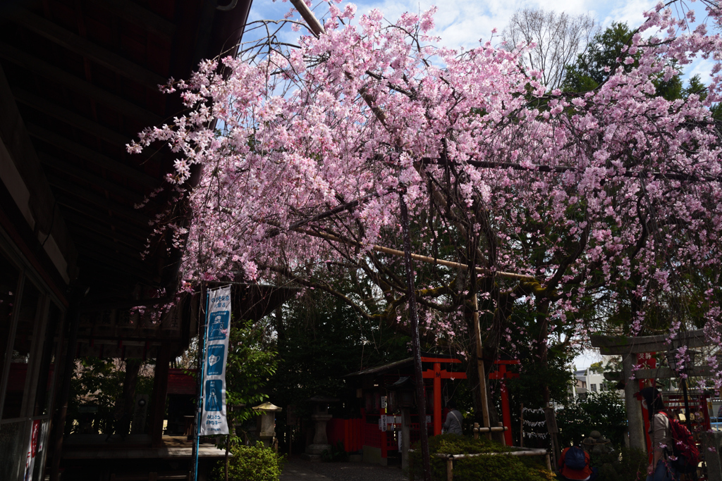 210320e水火天満宮47