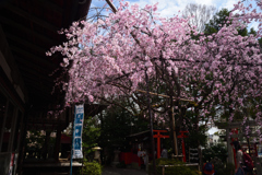 210320e水火天満宮47