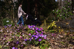 220312a京都植物園30