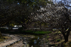 210224b京都御苑48