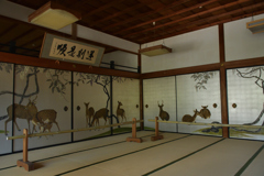 250916妙蓮寺29