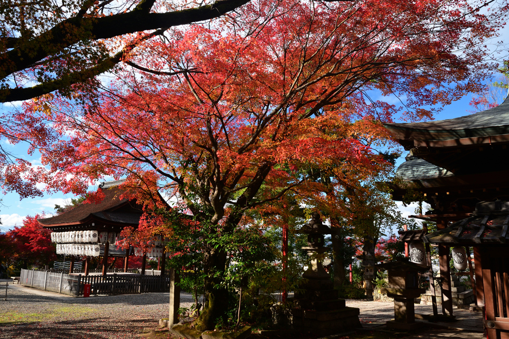 231130c粟田神社37