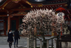 190312b長岡天満宮46