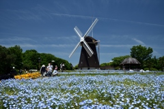 180511a鶴見緑地66+