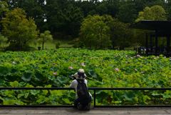 190715万博公園20