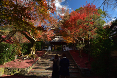 201205b安楽寺35