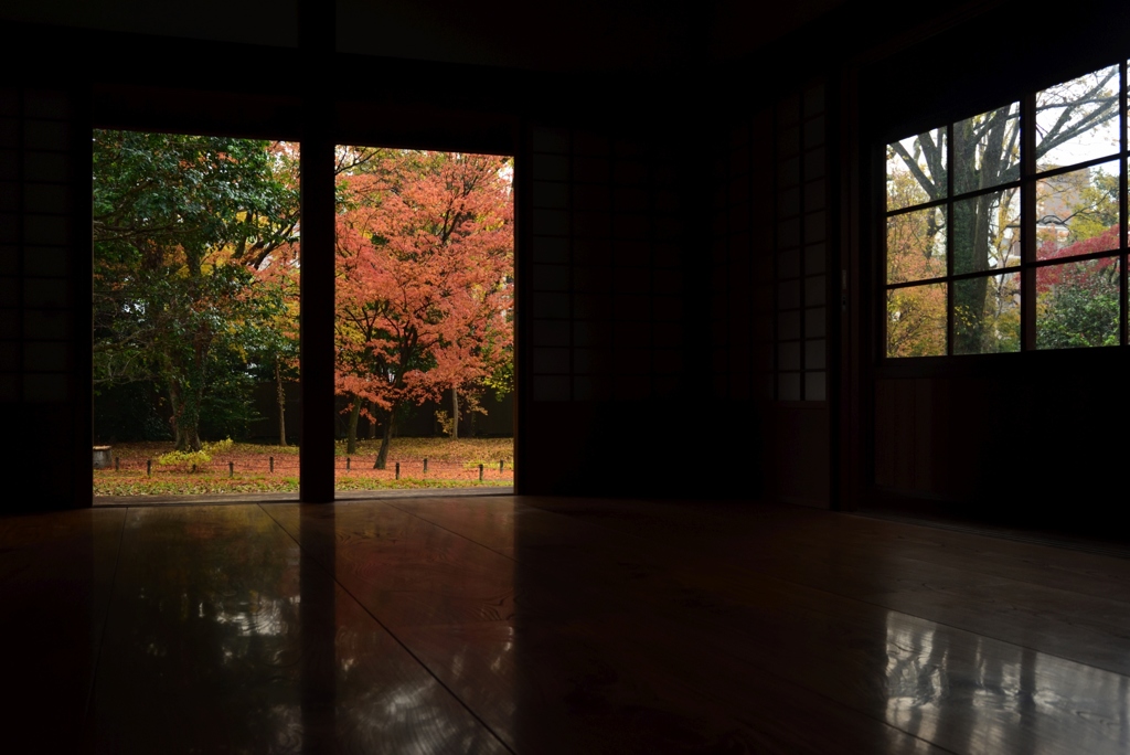 181204b京都御苑39