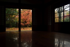 181204b京都御苑39