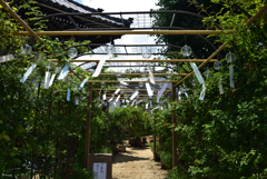 200718cおふさ観音13