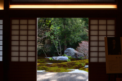 250121b建仁寺西来院27