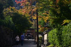 241112b南禅寺56