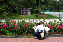 250523a浜寺公園48