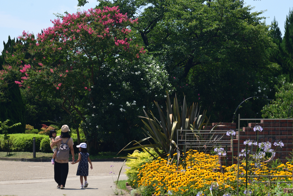220725京都植物園45