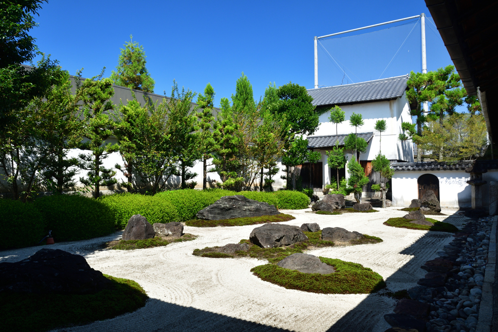 250916妙蓮寺21