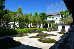 250916妙蓮寺21