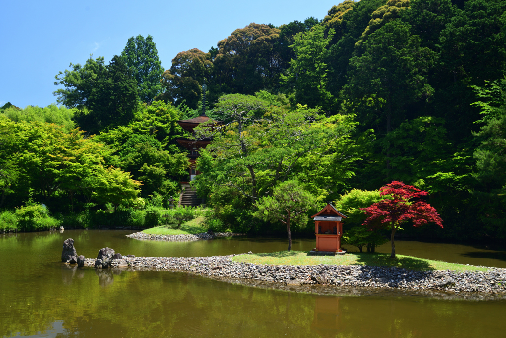 220612b浄瑠璃寺19