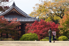 211121c智積院17