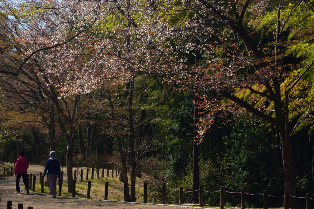 190404馬見丘陵公園01