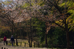 190404馬見丘陵公園01