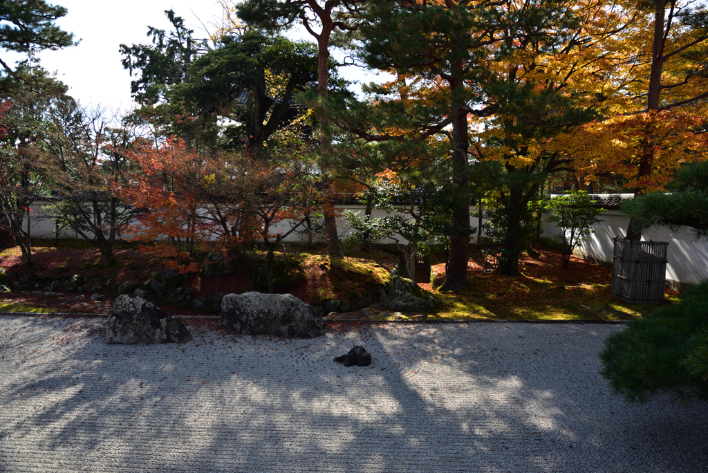 191204a相国寺29
