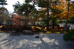 191204a相国寺29