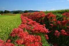 180919一言主神社21+