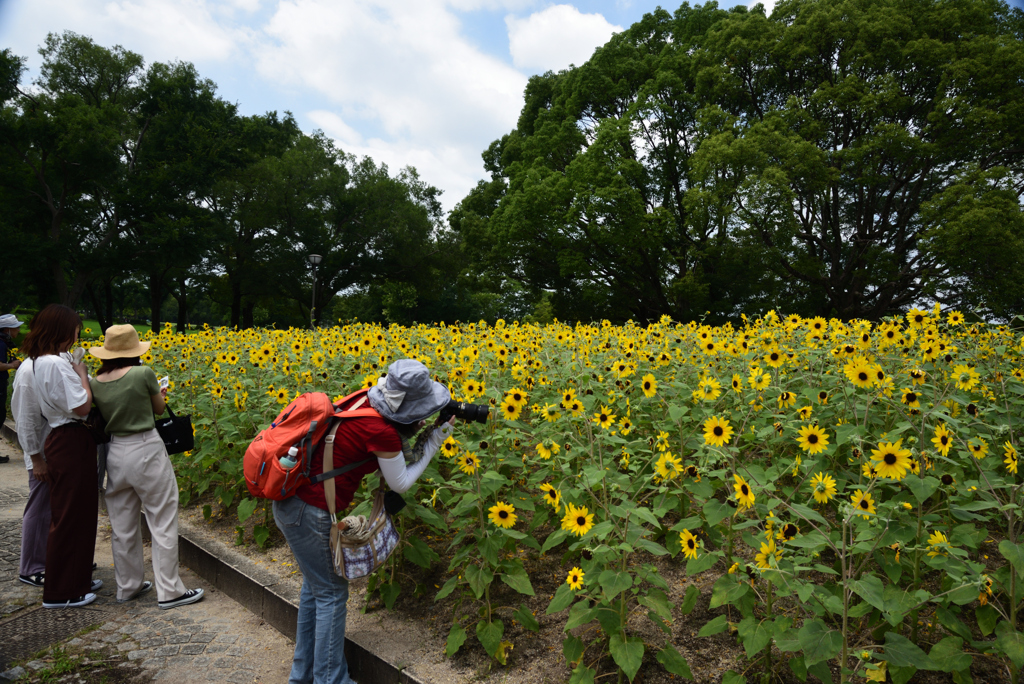 200802万博公園43