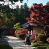 211103高野山69
