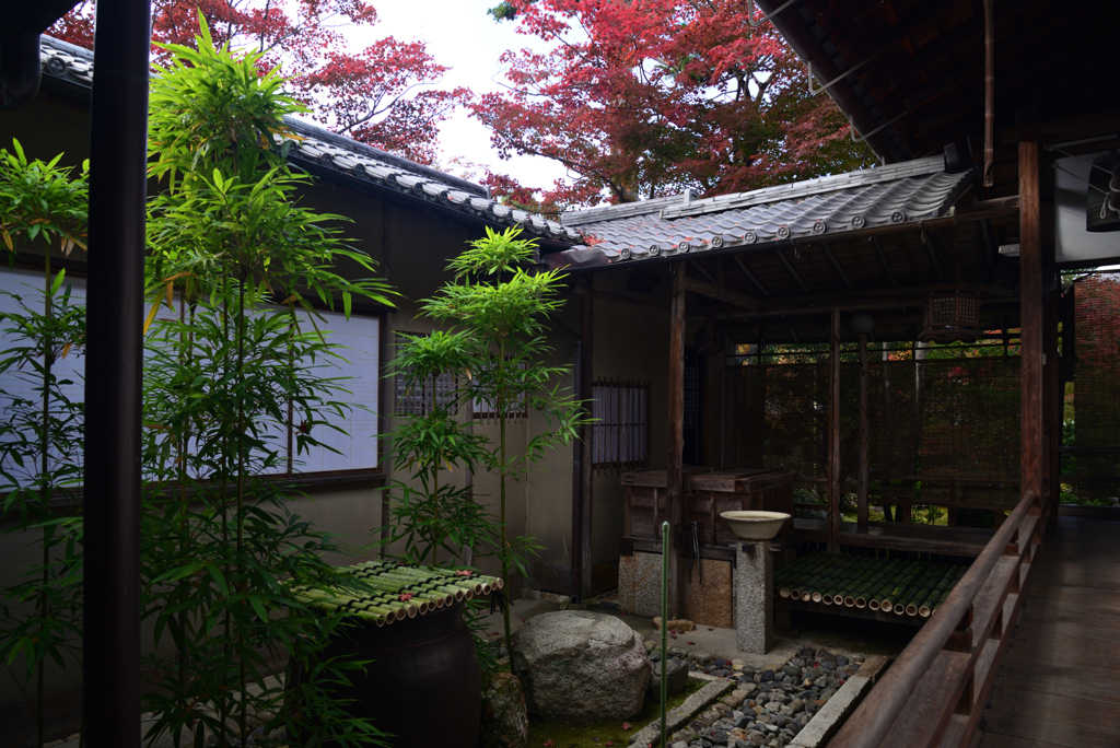 221116b妙心寺大法院05