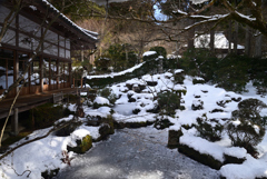 250210a大原三千院10