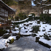 250210a大原三千院10