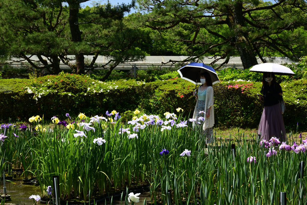 210601京都植物園14