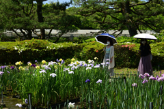 210601京都植物園14