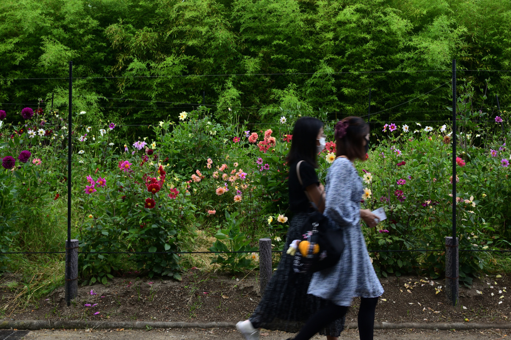 210627長居植物園73