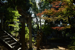 191110a宝塔寺27