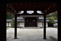 200124b泉涌寺12