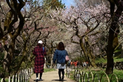 180318b北野天満宮44+