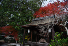 201213c京都御苑50