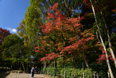 221108a上賀茂神社14