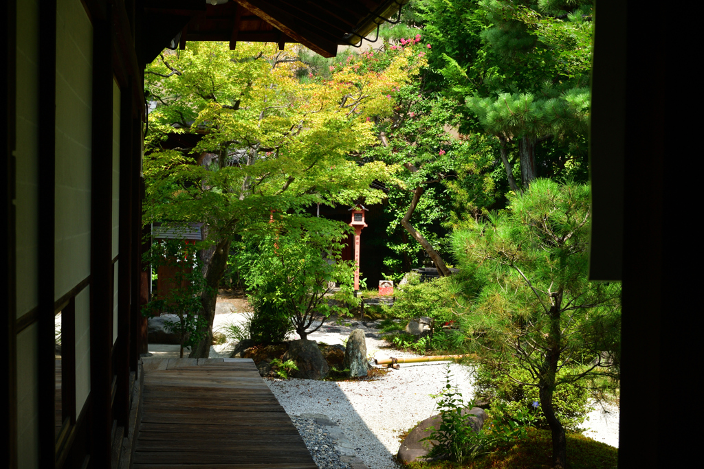250829c六堂珍皇寺52