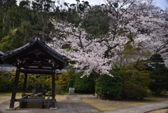 200403d山崎聖天13