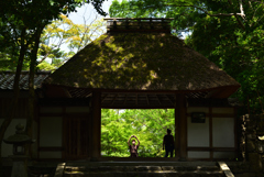 190601b法然院03