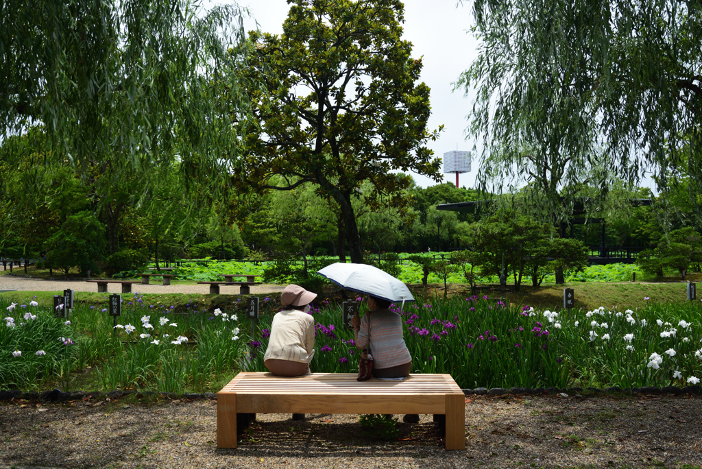 200615万博公園17