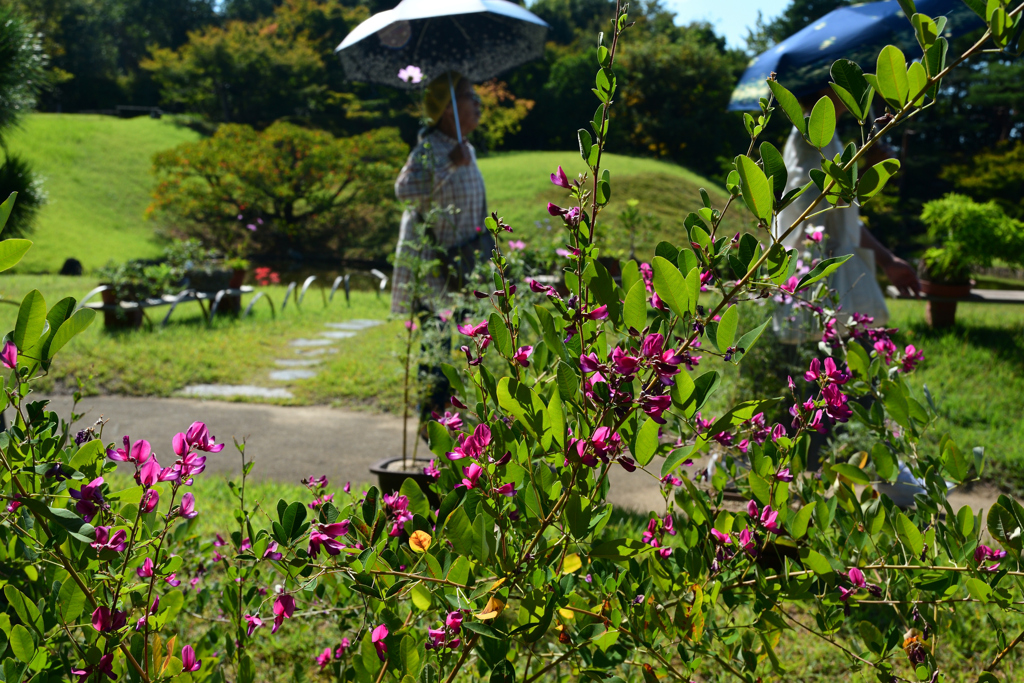 241014梅小路公園16